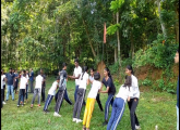 "The Sweet Valley of Child Participation"