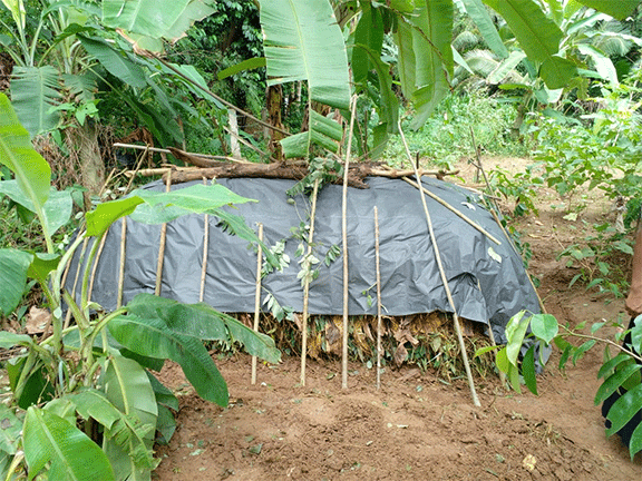 Compost demonstration programme (2021)