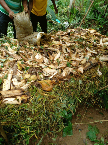 Compost demonstration programme (2021)