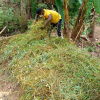 Compost demonstration programme (2021)