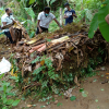 Compost demonstration programme (2021)